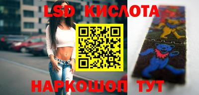 PSILOCYBIN Бугуруслан