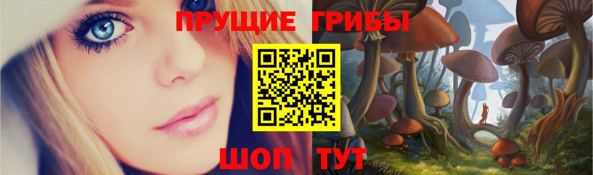Псилоцибиновые грибы Psilocybe  Вход с VPN  Тимашёвск 